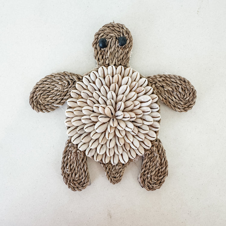 Cowrie Shell Turtle