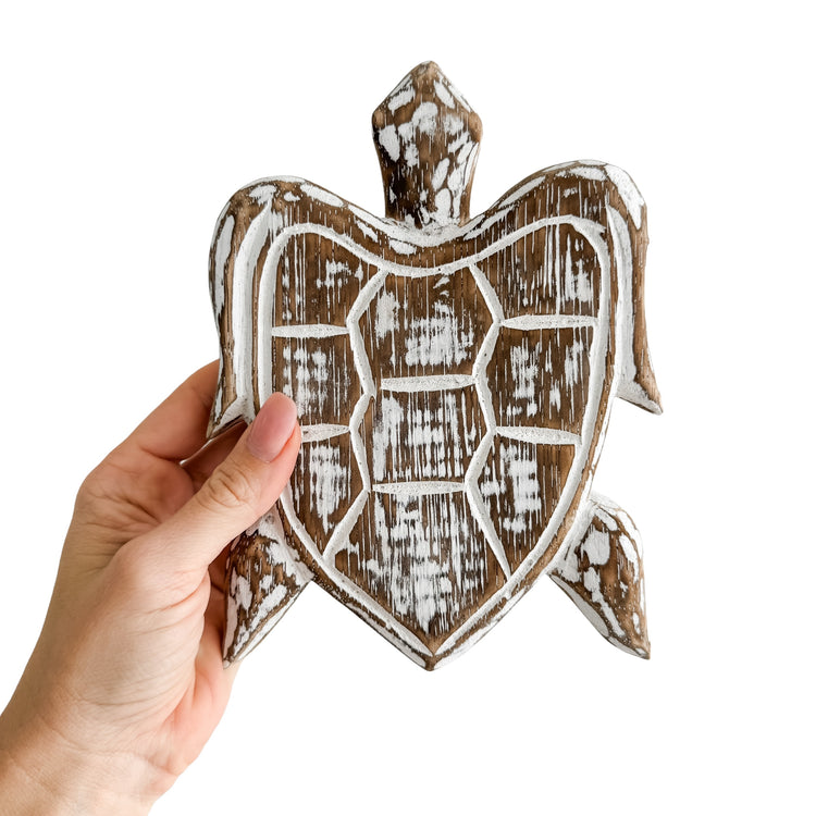 Turtle Bundle | Brown