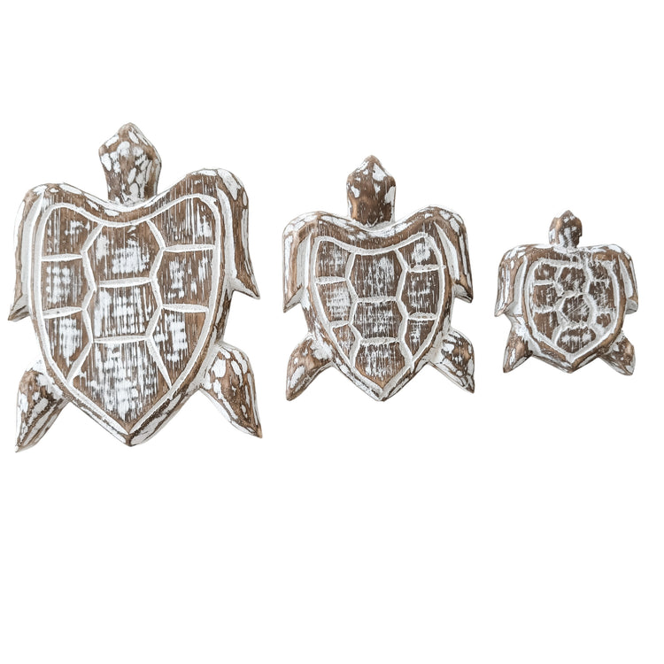Turtle Bundle | Brown