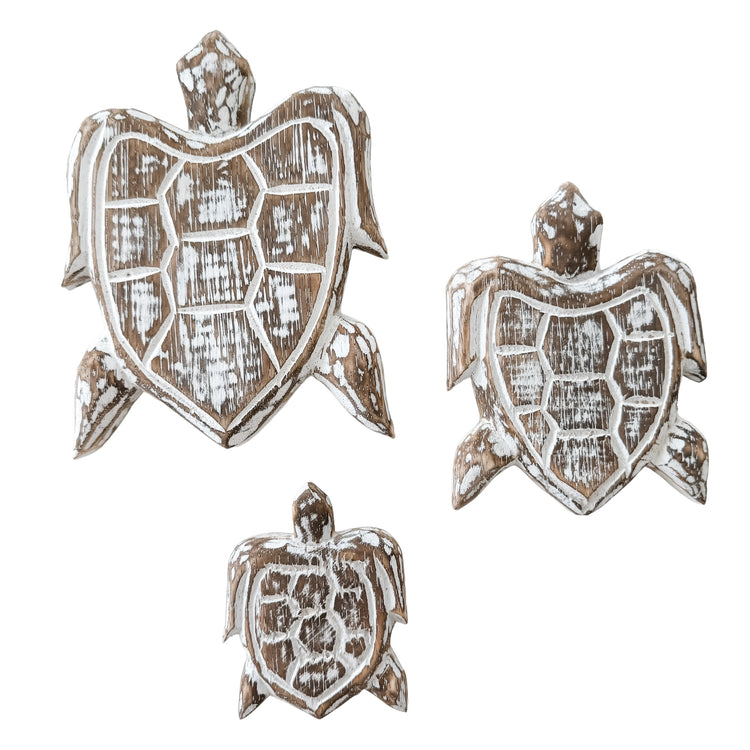 Turtle Bundle | Brown