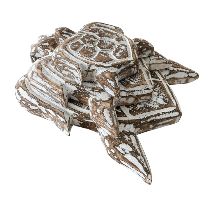 Turtle Bundle | Brown