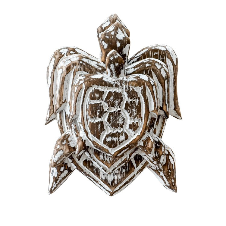 Turtle Bundle | Brown