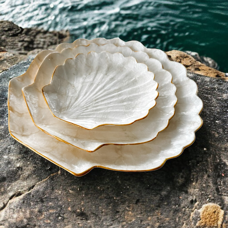 Clam Trinket Plate | 3 Sizes Available