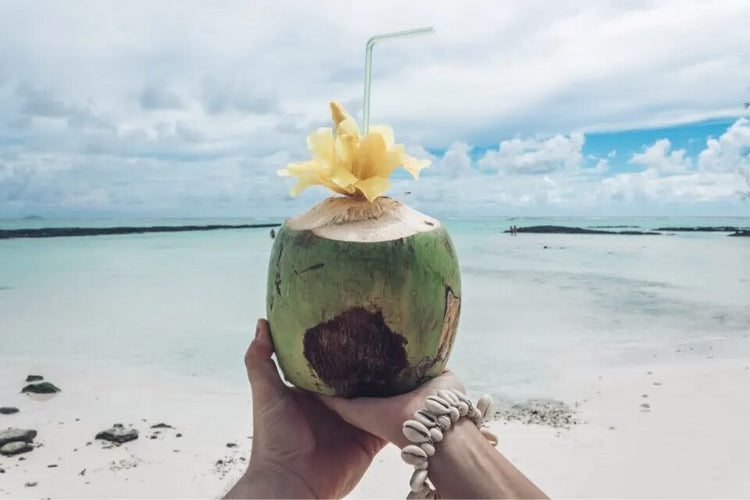 Bohemian Cowrie Bracelet | Willow & the Waves Collection