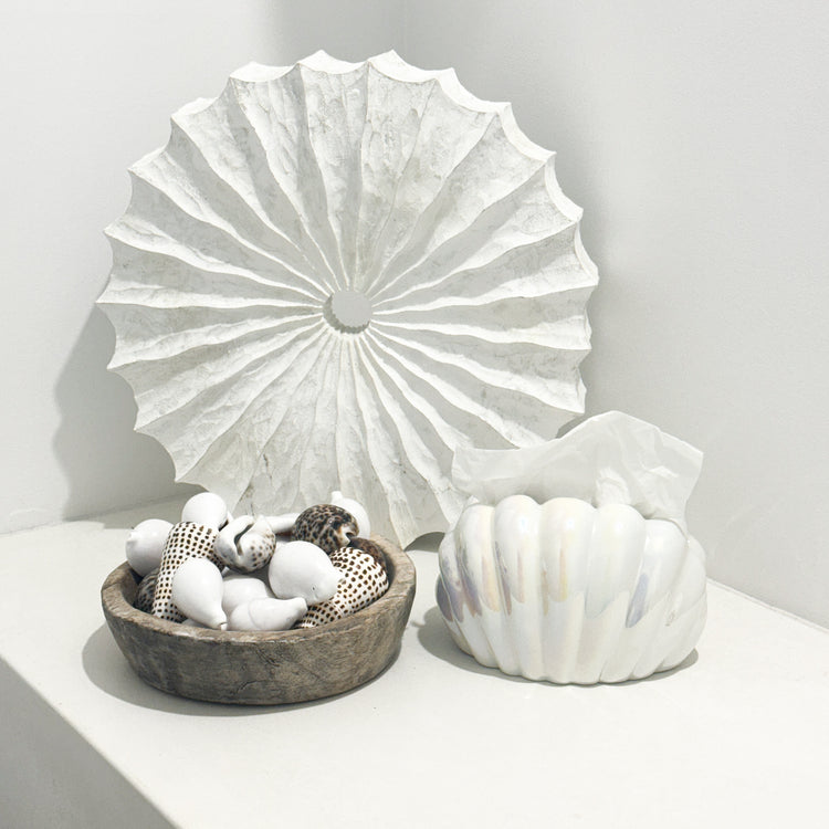 Shell Tissue Holder Preorder