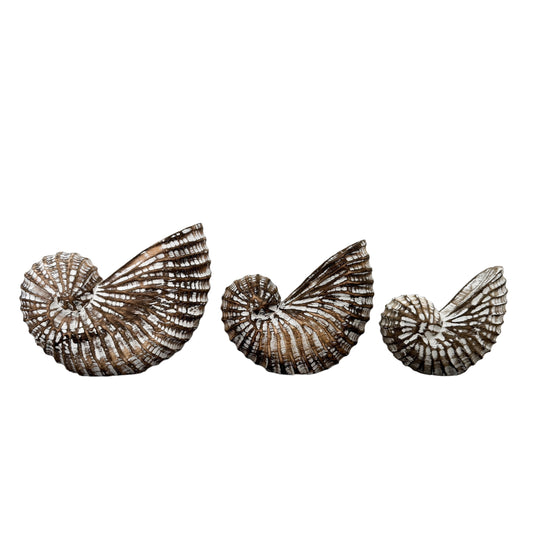 Wooden Nautilus Shell | Brown | 3 Sizes Available