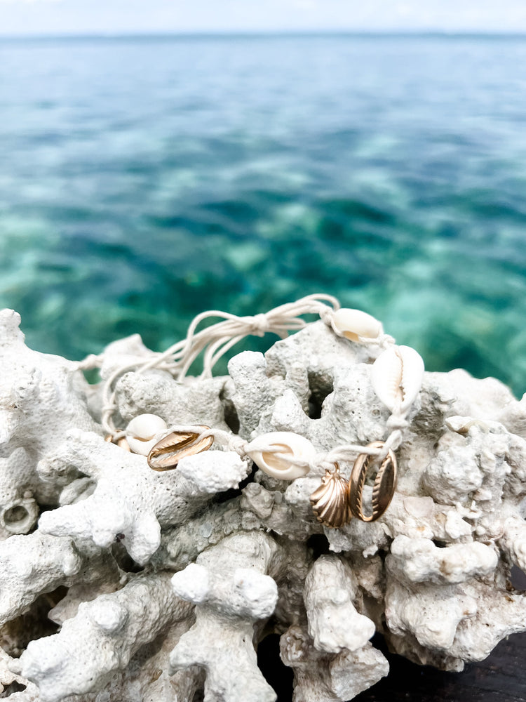 Phi Phi Cowrie Anklet | Willow & the Waves Collection