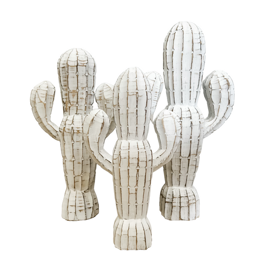Whitewashed Cactus | 3 Sizes Available