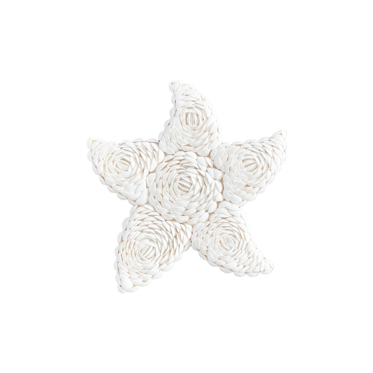 Sea Star Shell Wall Hangings | 3 Assorted Sizes