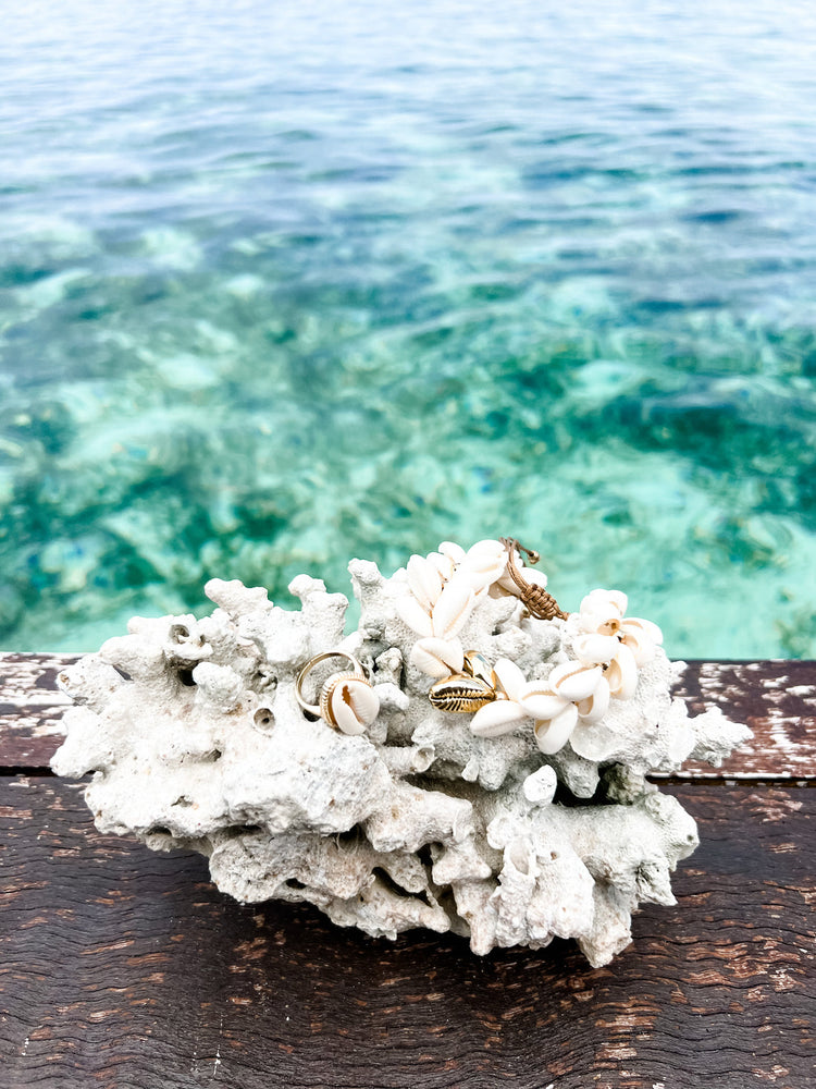 Tropics Cowrie Shell Ring | Gold | Willow & the Waves Collection