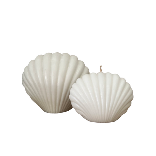 Bahamas Handmade Shell Candle | White | Willow & the Waves Collection