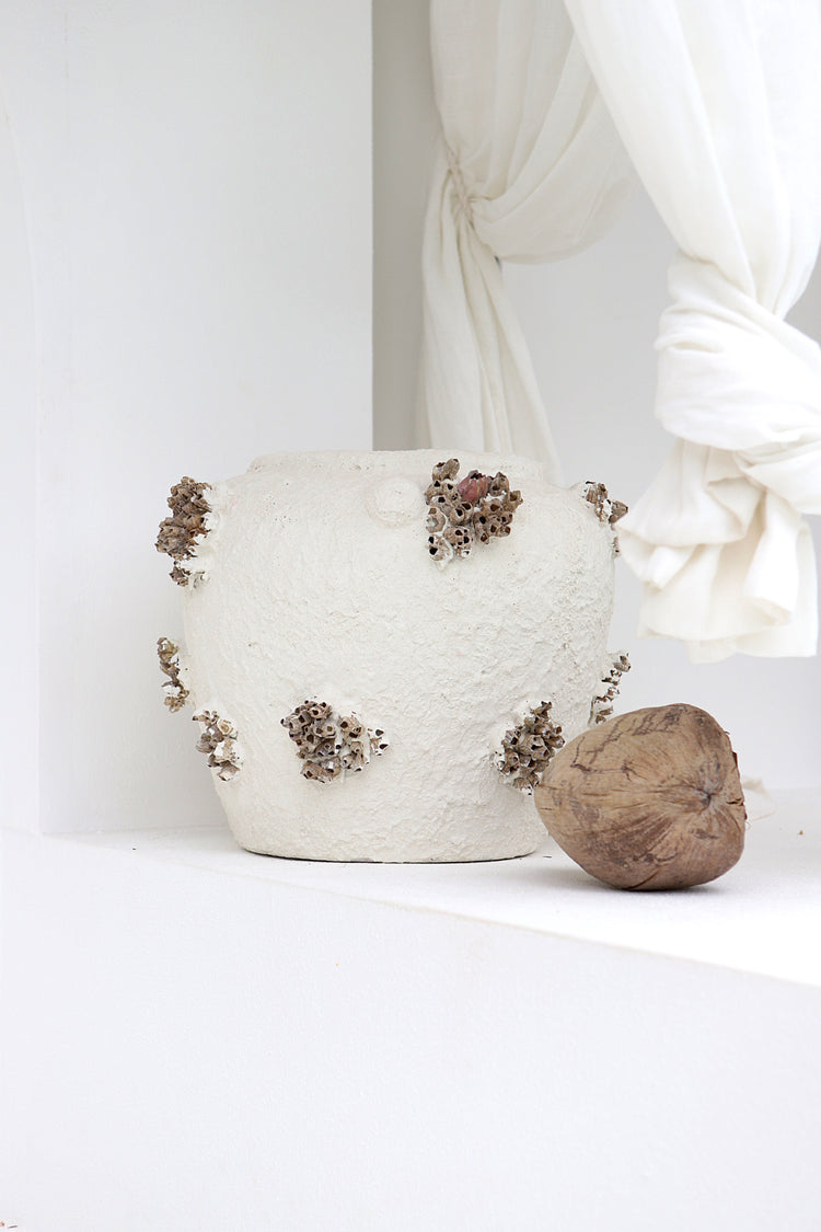 Large Barnacle Jug Hamptons Decor