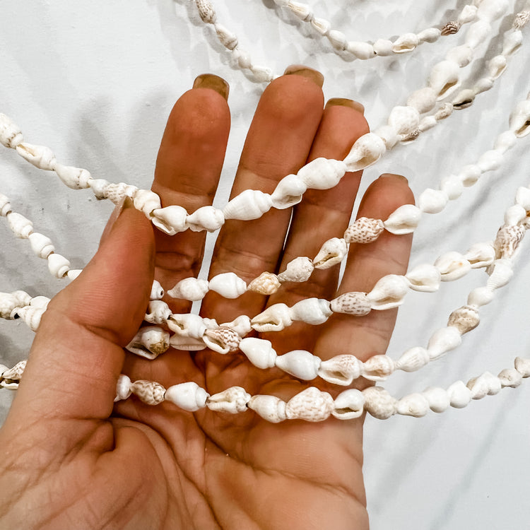 Waterfall Shell Wall Hanging | Conch Shell