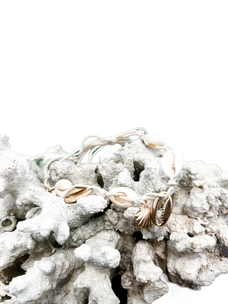 Phi Phi Cowrie Anklet | Willow & the Waves Collection