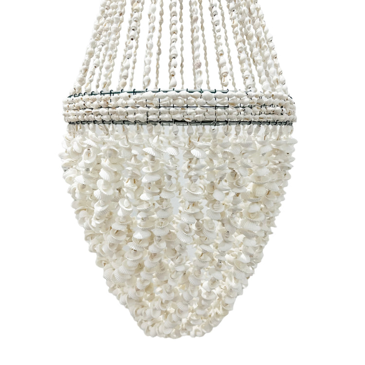 Cyprus Shell Chandelier Preorder