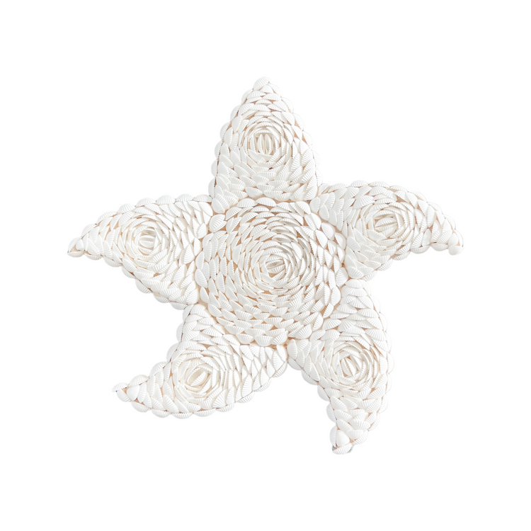 Sea Star Shell Wall Hangings | 3 Assorted Sizes