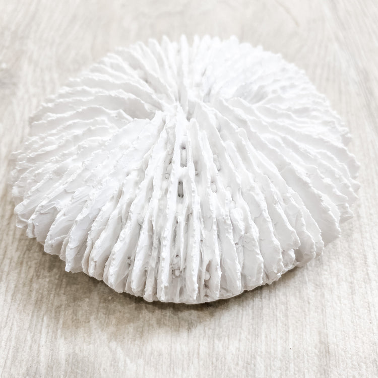 Fungia Resin Coral Beach Decor