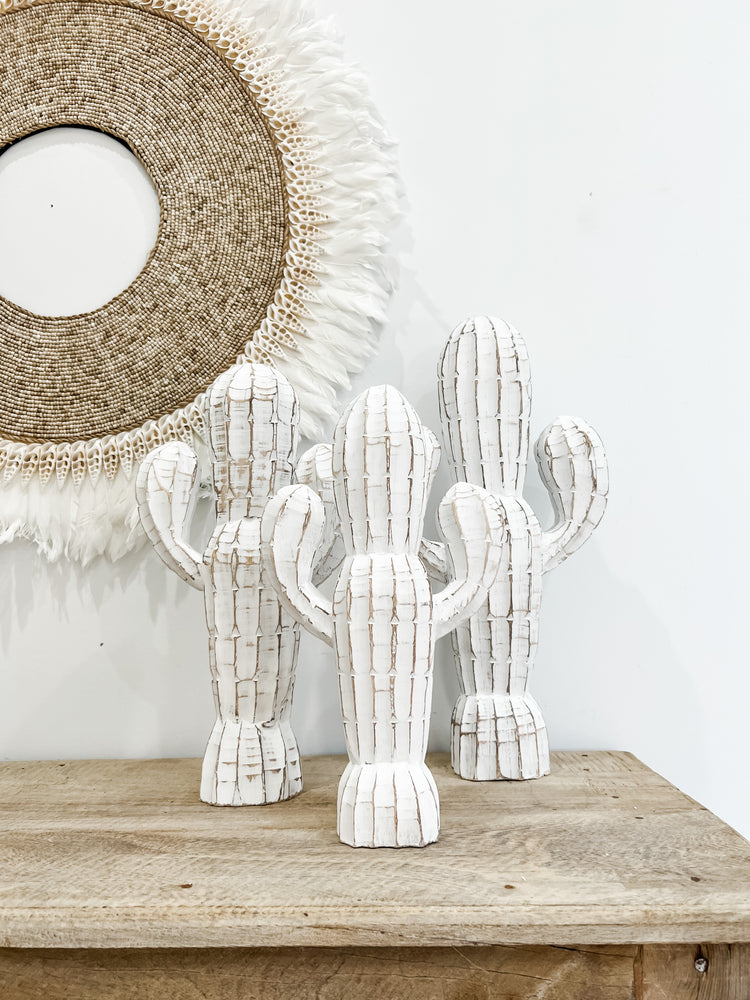 Whitewashed Cactus | 3 Sizes Available