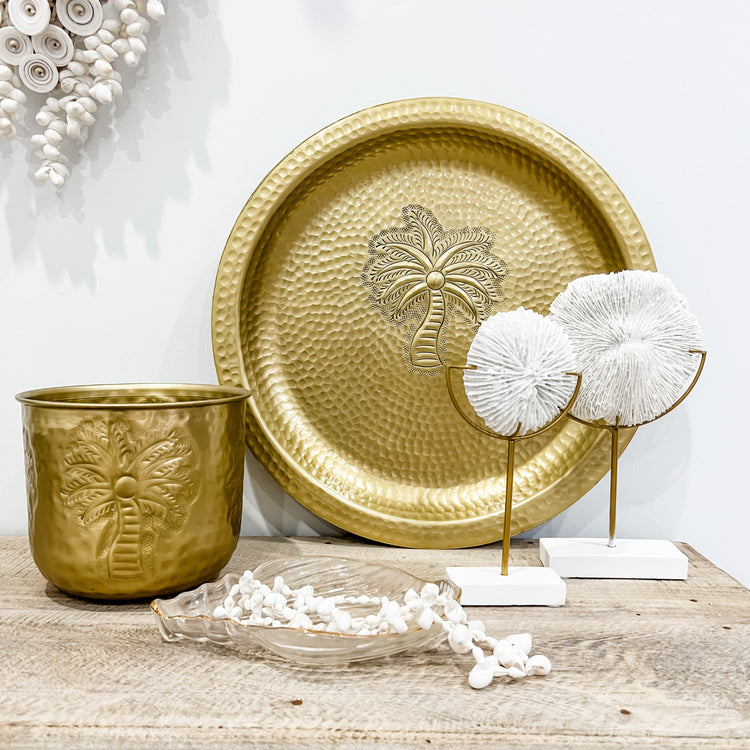 Glass Trinket Tray | Conch Shell