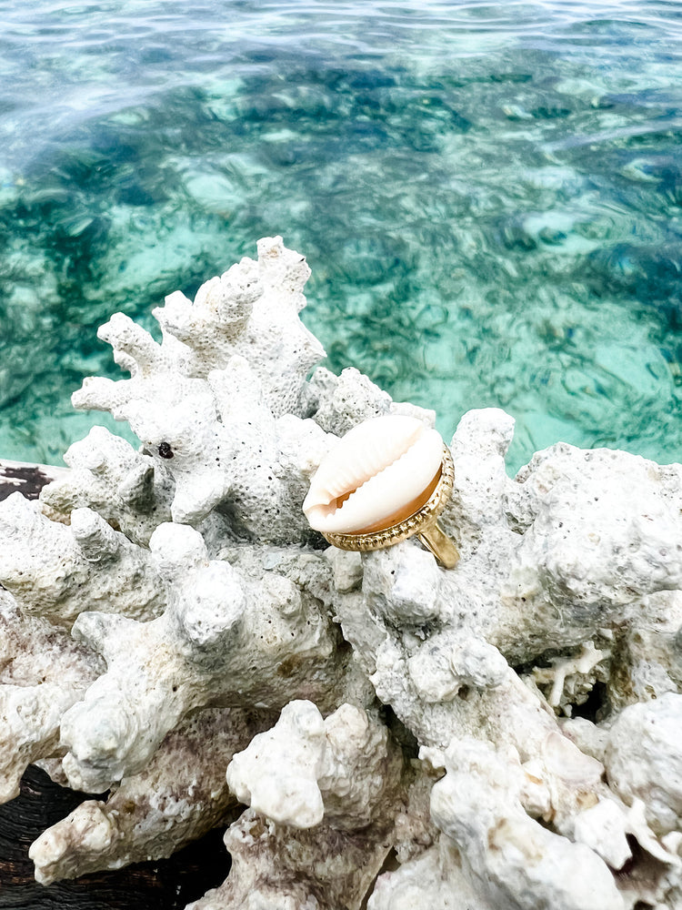 Tropics Cowrie Shell Ring | Gold | Willow & the Waves Collection