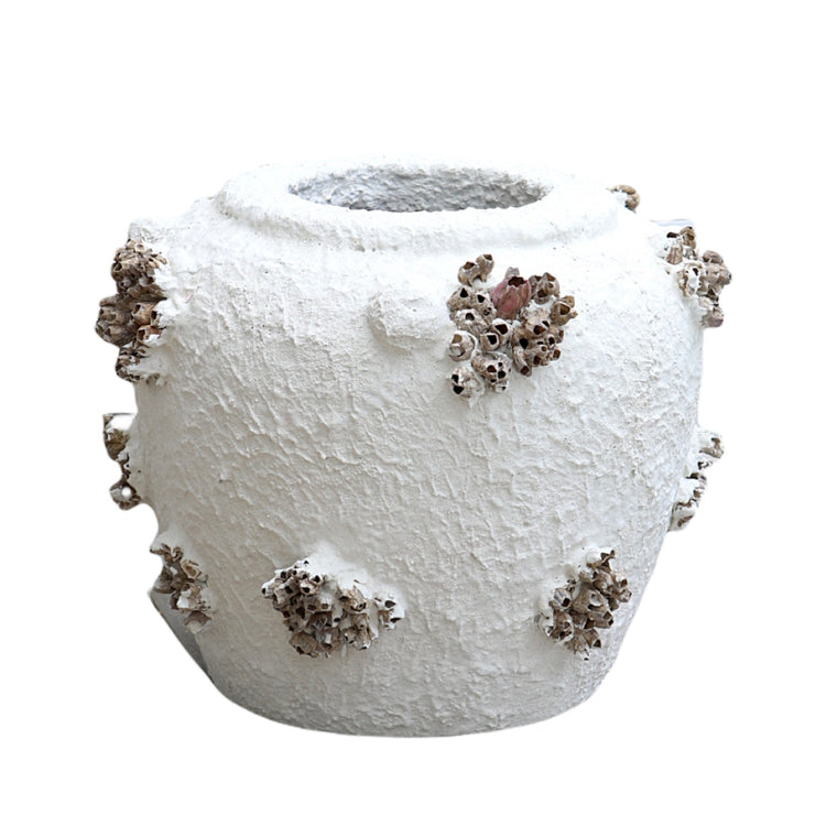 Large Barnacle Jug