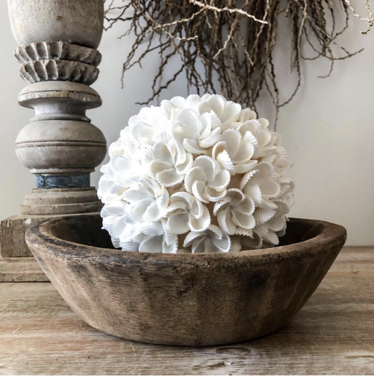 Shell Décor