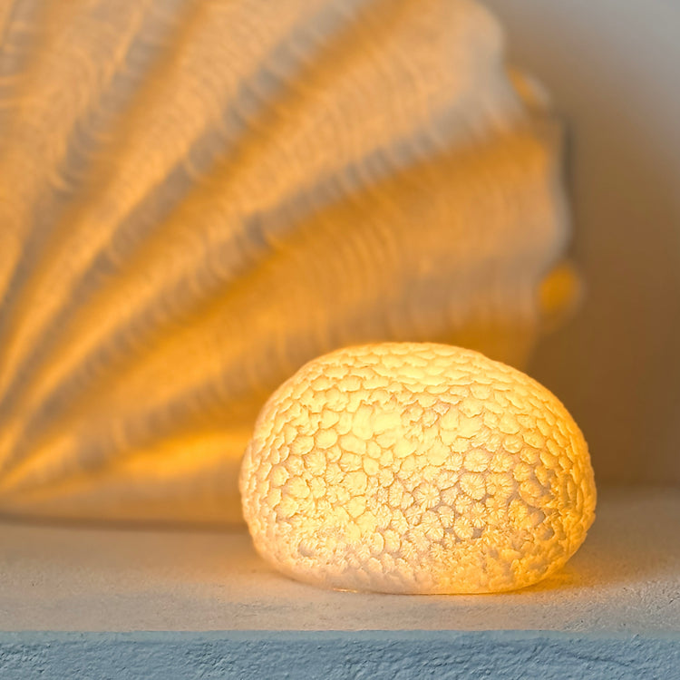 Lamps & Light Shades