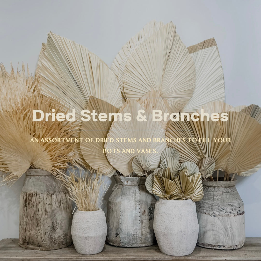 Dried Stems & Branches