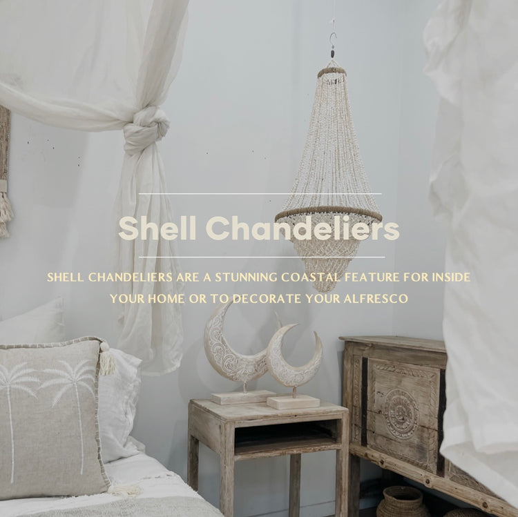 Shell Chandeliers