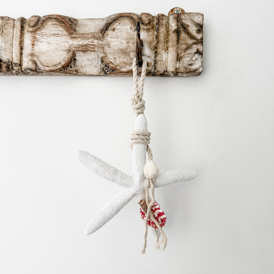 Dina Resin Starfish Hanging