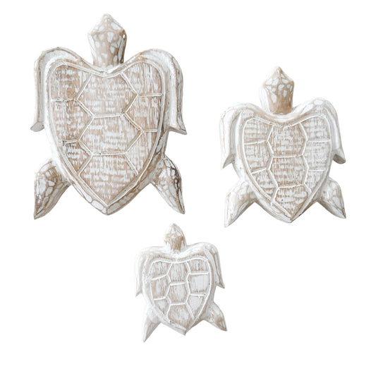 Turtle Bundle | Natural