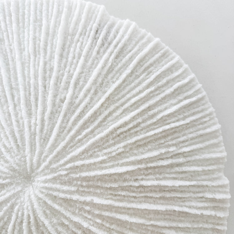 White Coral Disc Wall Hanging | Large