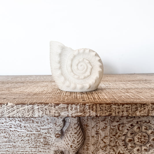 Resin Nautilus Shell Lamp