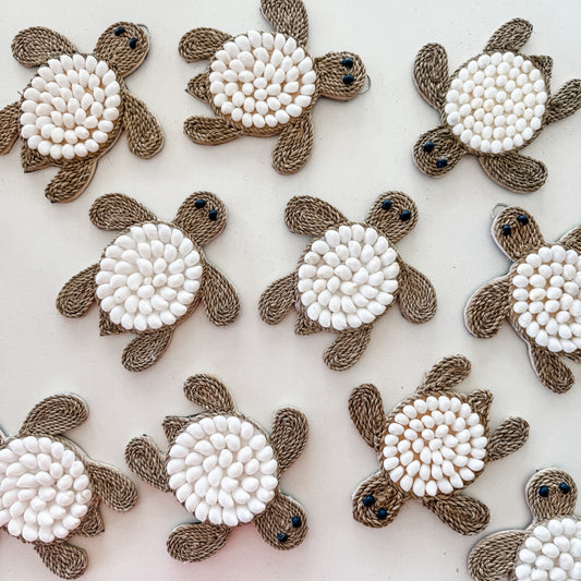 White Shell Turtle