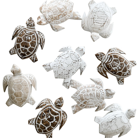 Baby Turtle | 12cm | Assorted Colours