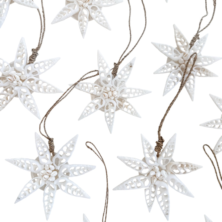 White Star Shell Hanging