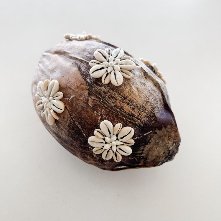 Shell-Kissed Decorative Coconuts