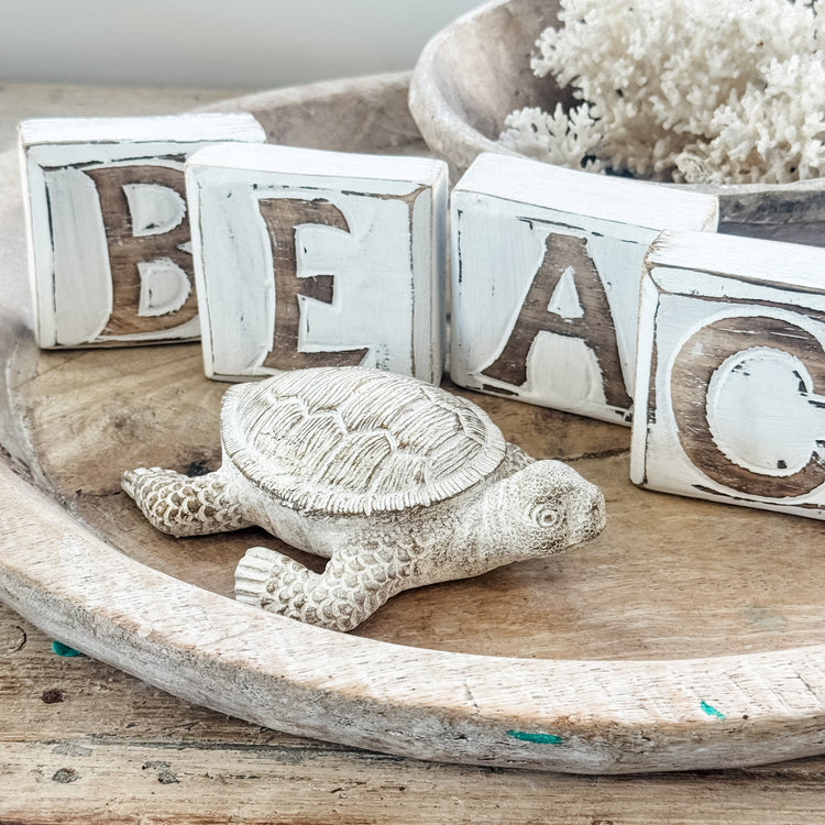 Terry Turtle Resin Ornament