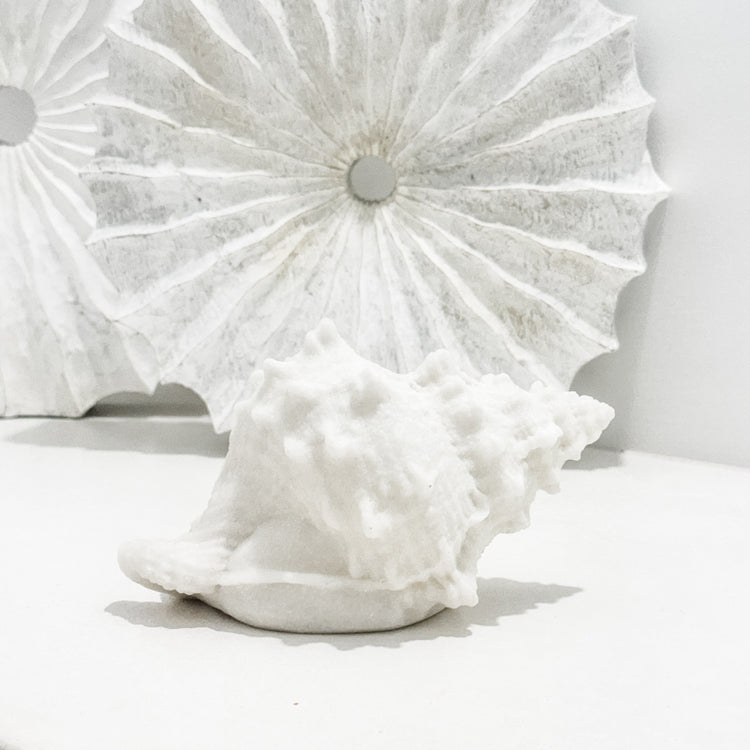 Resin Conch Shell Lamp