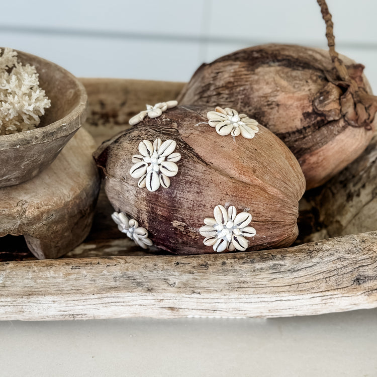 Shell-Kissed Decorative Coconuts