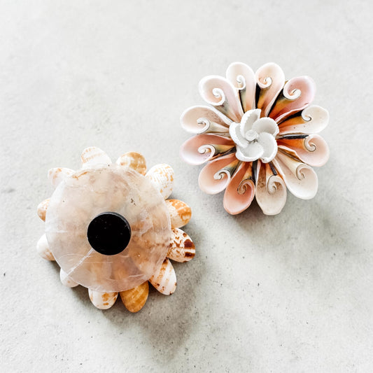 Sunset Spiral Shell Bloom Magnet