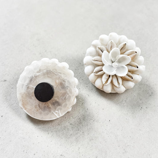 Ivory Cowrie Bloom Shell Magnet