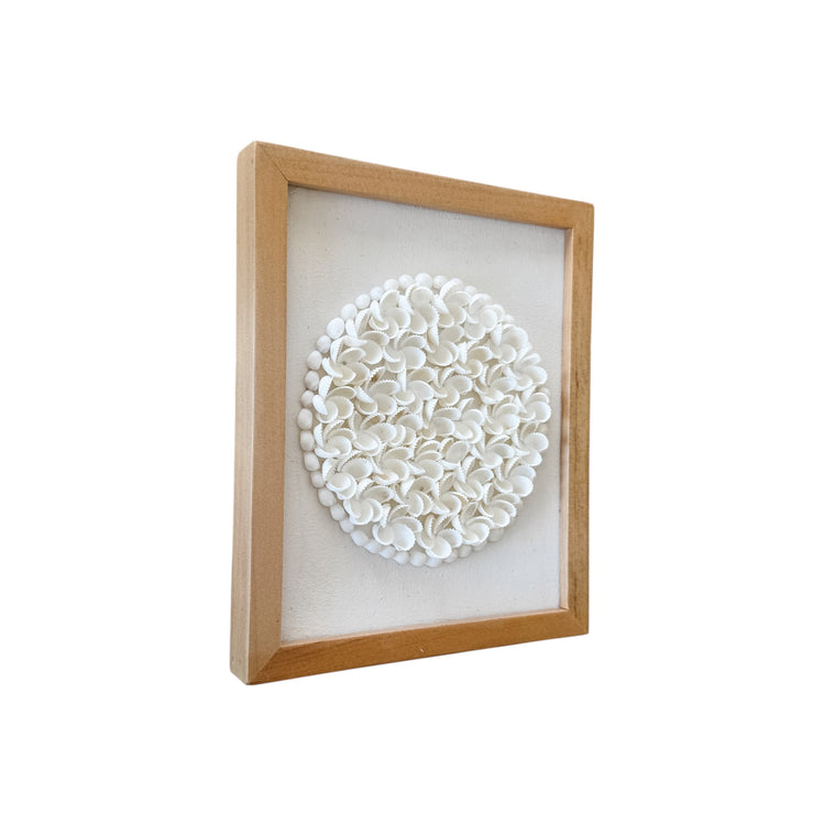 Coastal Shell Bloom Wall Art