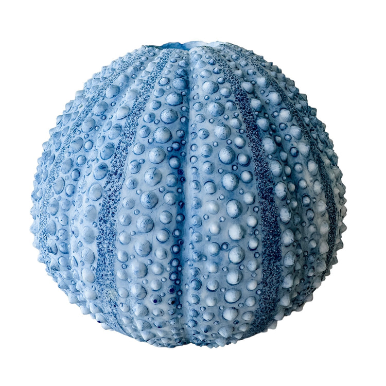 Urchin Vase | Round Preorder