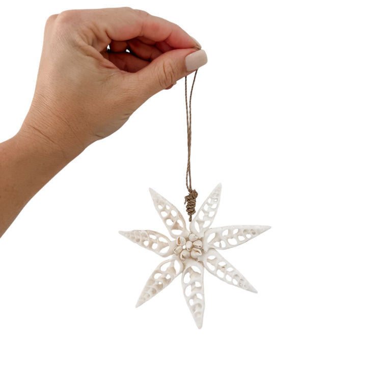 White Star Shell Hanging