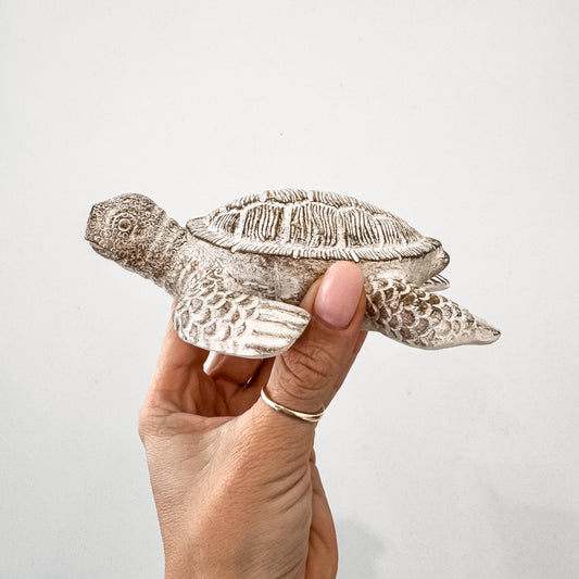 Terry Turtle Resin Ornament