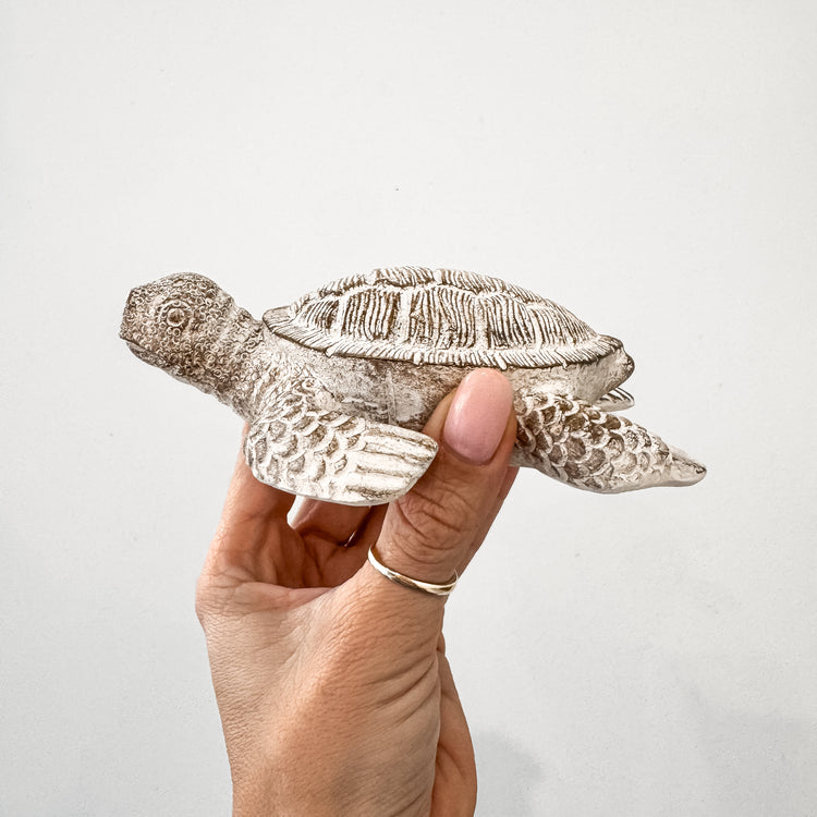 Terry Turtle Resin Ornament