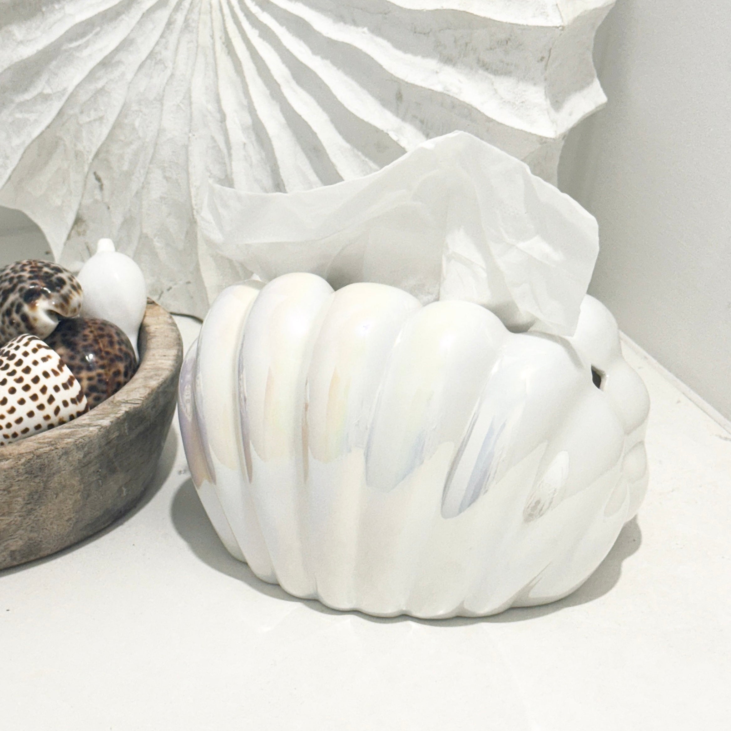 Shell Tissue Holder Preorder