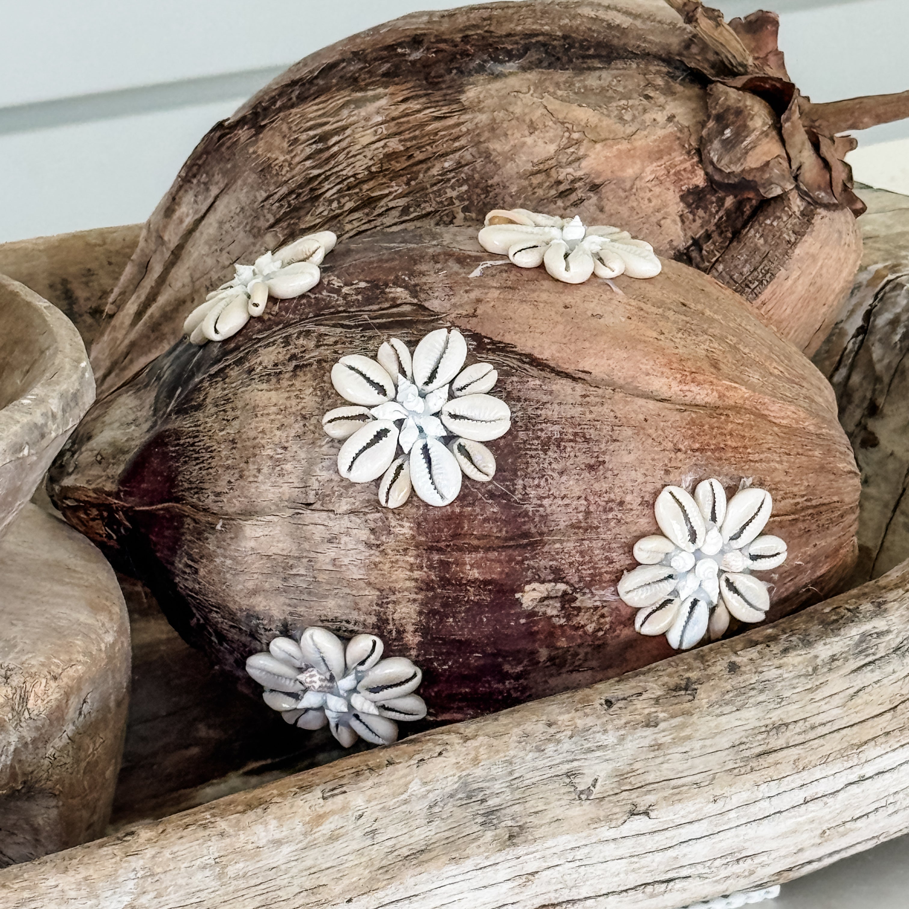 Shell-Kissed Decorative Coconut – Natural Cowrie Shell Coastal Ornament