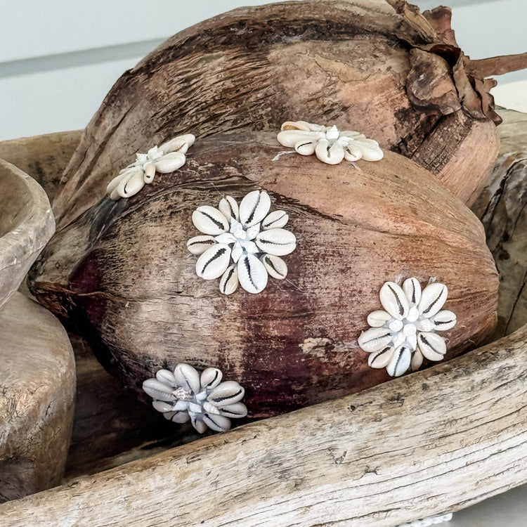 Shell-Kissed Decorative Coconuts
